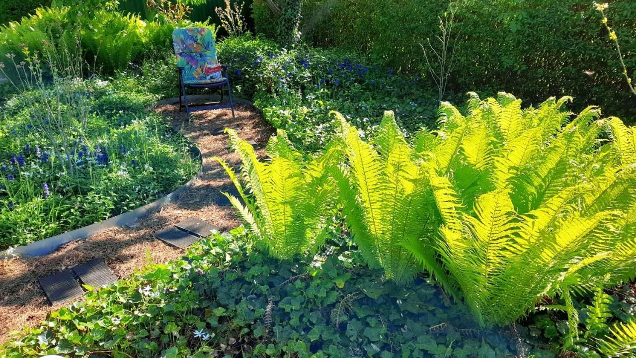 Mitten Im Seenland Und Spreewaldnah, Schoener Garten Storkow  Kültér fotó