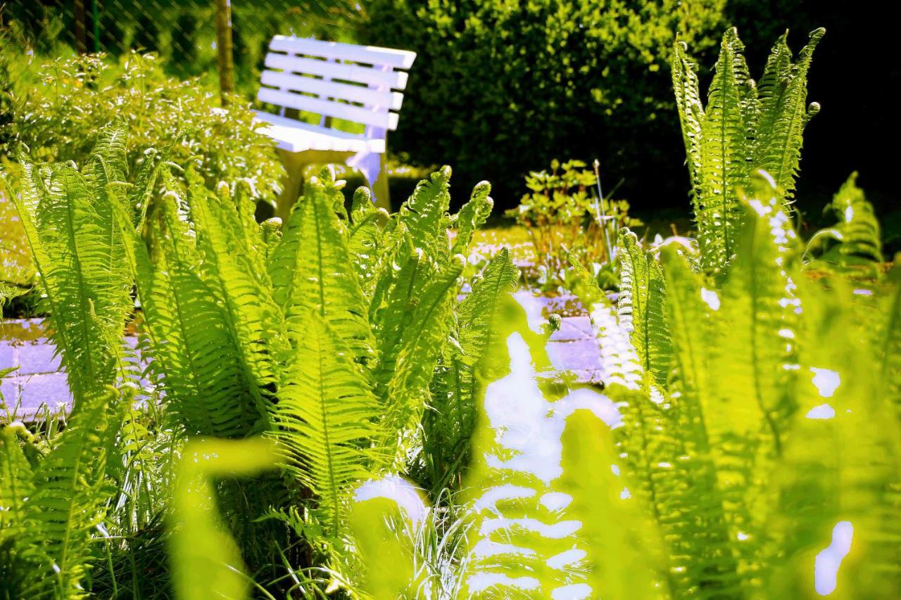 Mitten Im Seenland Und Spreewaldnah, Schoener Garten Storkow  Kültér fotó