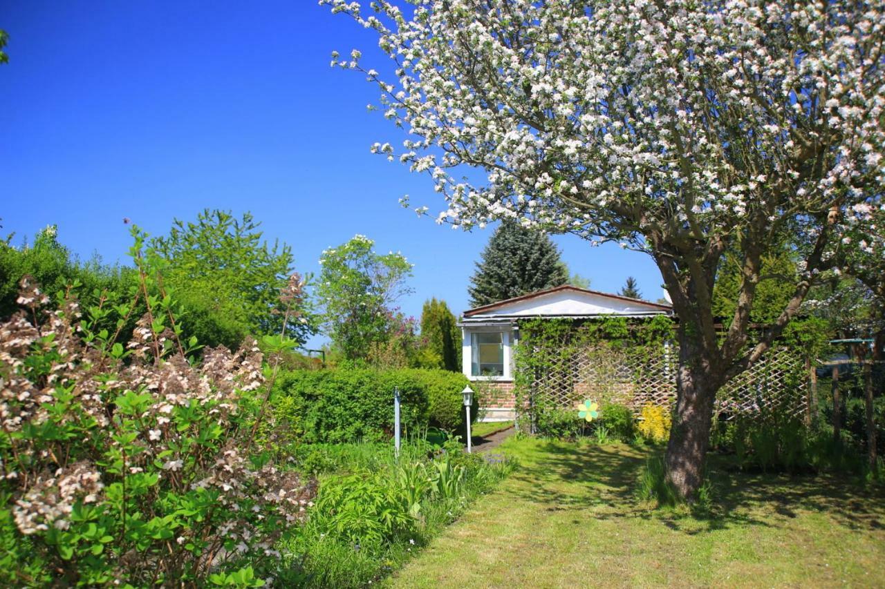 Mitten Im Seenland Und Spreewaldnah, Schoener Garten Storkow  Kültér fotó